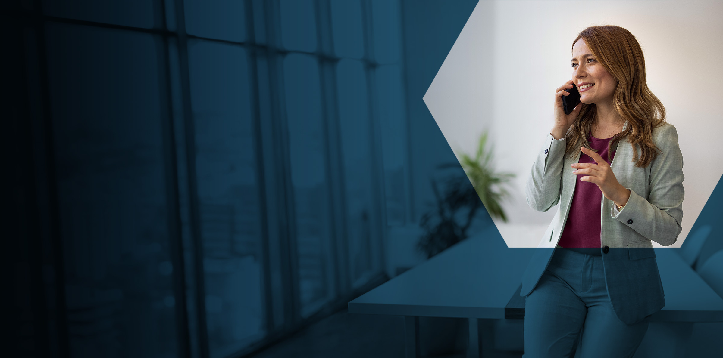 Drp Desktop Governance Header (1)